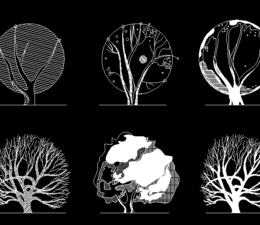Architectural Graphic Trees Drawings