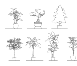 POTTED ARCHITECTURAL GRAPHIC TREES